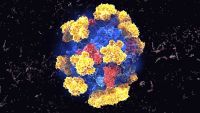 Enzymes-Making Chemistry Work in Cells