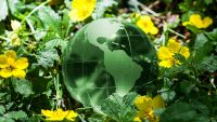 Biogeography