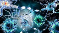 The Dynamic World of Infectious Disease