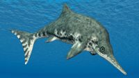 Marine and Flying Reptiles