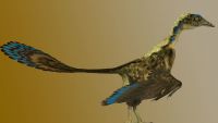 Birds-The Dinosaurs among Us