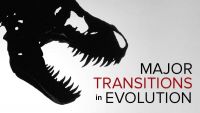 Major Transitions in Evolution