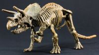Paleontologists as Detectives