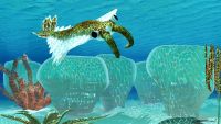 The Forgotten Fossils in Earth's Story