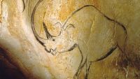 The Rise of Mammals and the Last Ice Age
