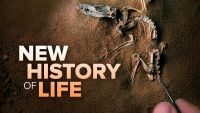 A New History of Life