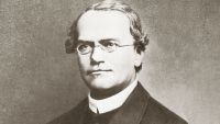 Mendel and Genes