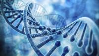 The Search for the Gene-DNA