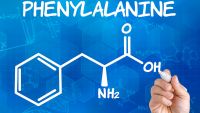 Genes, Enzymes, and Metabolism
