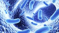 Manipulating Genes-Recombinant DNA
