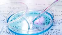 DNA in Identification-Forensics