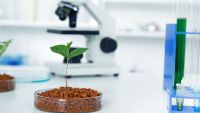 Genetics and Agriculture