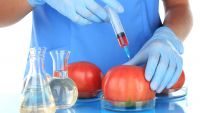Biotechnology and Agriculture