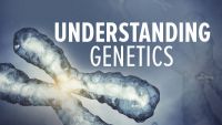 Understanding Genetics