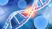 Adaptive Immunity to the Rescue