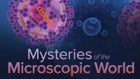 Mysteries of the Microscopic World
