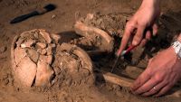 What is Biological Anthropology?
