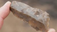 Stones and Bones