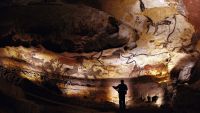 Modern Human Anatomy and Behavior