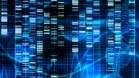 Tyranny of the Gene?
