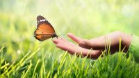 Evolution and Our Future
