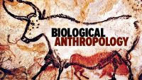 Biological Anthropology