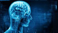 Historical Underpinnings of Neuroscience