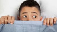 Processing of Negative Emotions-Fear