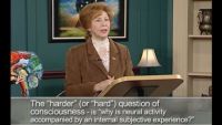 Consciousness and the Self