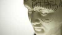 Neuroscience-Looking Back and Looking Ahead