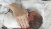 Stress, Growth, and Child Development