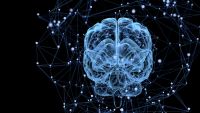 Learning and Synaptic Plasticity
