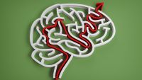 The Regulation of Hormones by the Brain