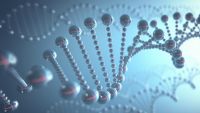 What Do Genes Do? Microevolution of Genes
