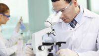 What Do Genes Do? Macroevolution of Genes
