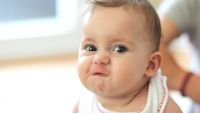Hormones and Aggression