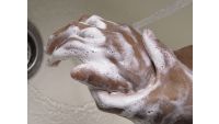Creativity and Fluid Intelligence