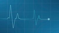Cardiovascular System-Physiology of the Heart