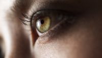 Perception-Forming Internal Models