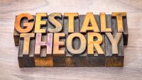Perception-Finding and Organizing Cues