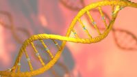 Evolutionary Psychology-Basic Concepts