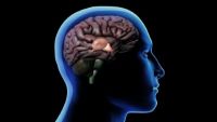 Language in Mind