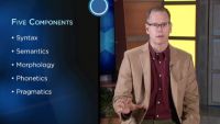 Language as a System
