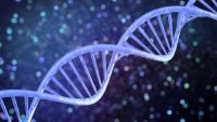 Genes, Brains, and Evolution