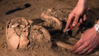 Paleoanthropology and the Hominin Family