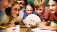 Intelligence and the Brains of Children