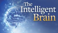 The Intelligent Brain