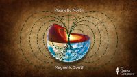 Fossils and the Shifting Crust