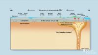 Life's Greatest Crisis: The Permian