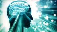Brains and Minds, Evolution and Development